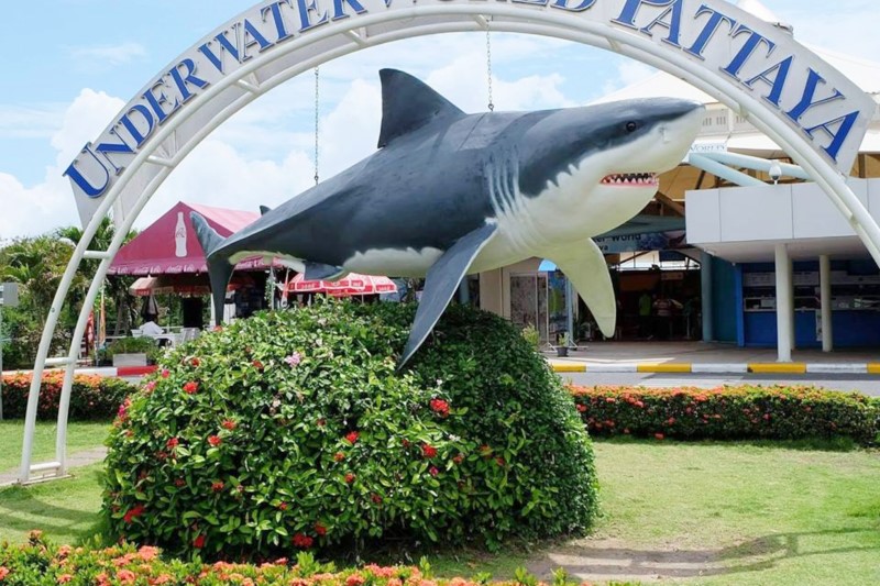Aiyaree Place Resort :Pattaya Underwater World