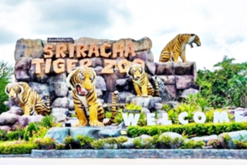 Aiyaree Place Resort :Sriracha Tiger Zoo